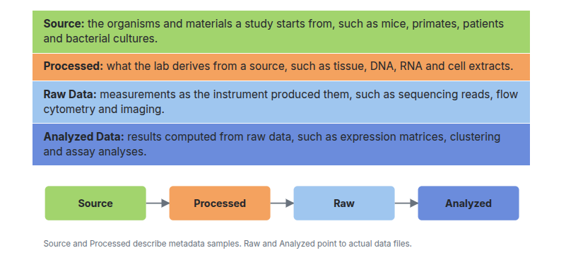 Four coloured bands, from top to bottom: Source (green), Processed (orange), Raw Data (light blue), Analyzed Data (dark blue), each with a one-line definition and examples. Below them, an arrow chain Source to Processed to Raw to Analyzed, with a note that Source and Processed describe metadata samples while Raw and Analyzed point to actual data files.