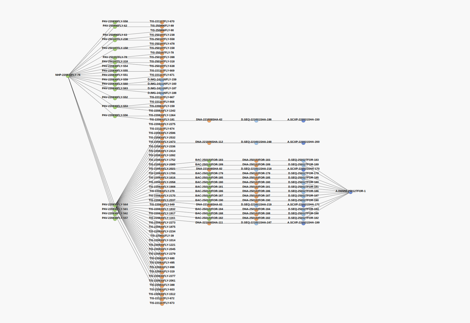 A tree of samples that starts at one non-human primate sample on the left. Many patient visit samples branch from it, each leading to tissue samples. Some tissue samples continue to a DNA sample, a sequencing file and an analyzed result. Dots are coloured by clade: green for source, orange for processed, light blue for raw, dark blue for analyzed.