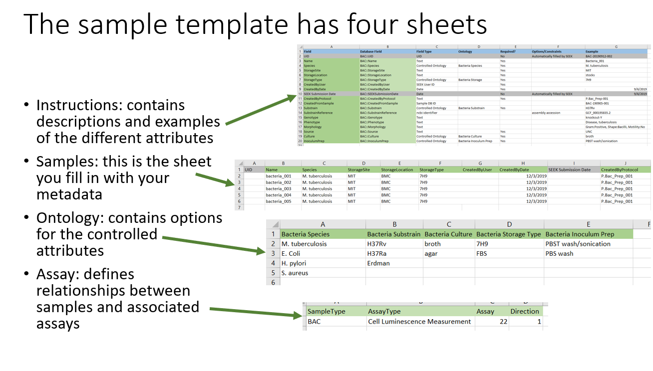 The four sheets of a sample template: Instructions lists each attribute with its database field, type and ontology; Samples is the table you fill in; Ontology lists the allowed values; Assay links the sample type to an assay